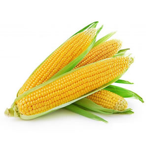 Sweet corn