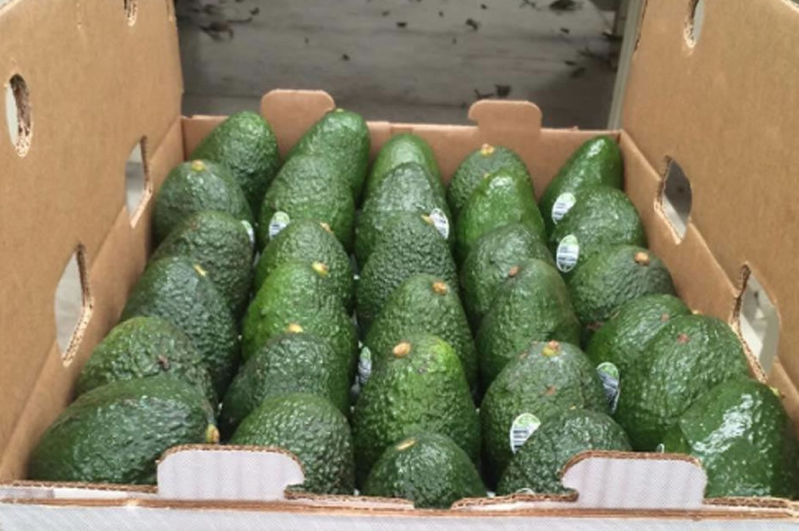 Agrotek Concepts Packaging